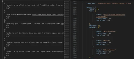 Terminal output and the cleaned JSON dataset extracted from Mastodon