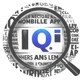 Information Quality Index (IQI)